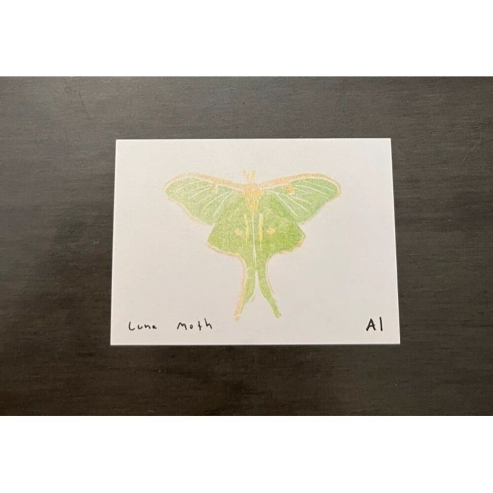 Ana Inciardi Mini Print - Luna Moth